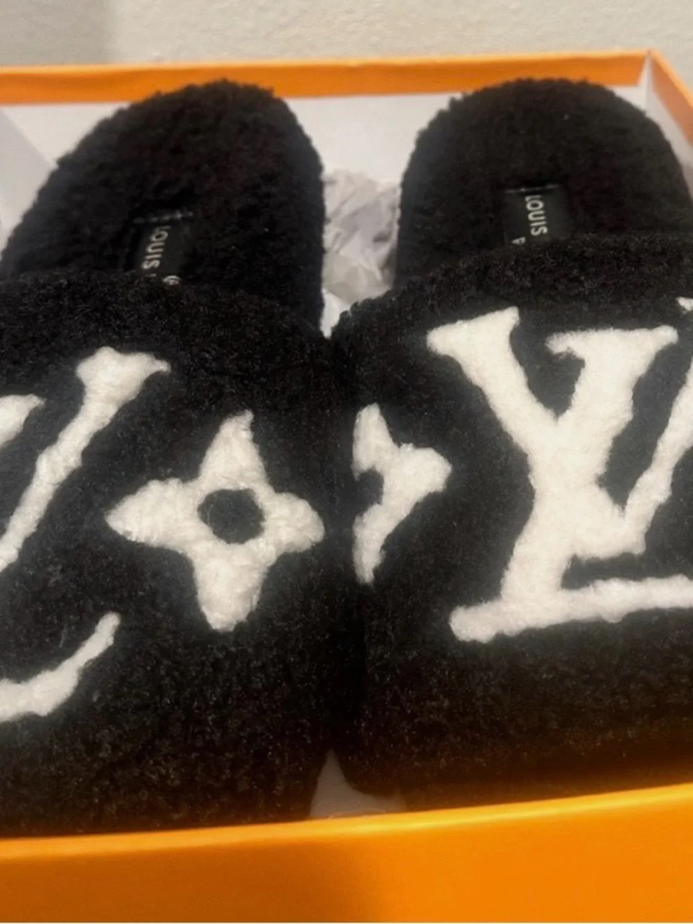 Louis Vuitton nwot louis